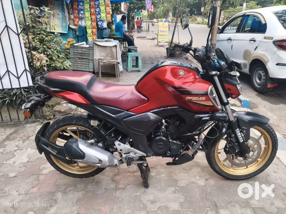 FZS V3 2022