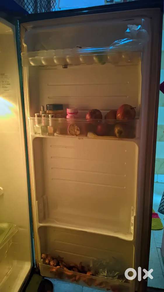 Sharp Fridge