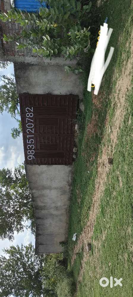 Motation plot 2 katha Ali Bagh colony & 3.5 katha House for sale Albla