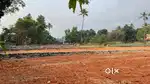 5, 10, 16 cent residential plot for sale at Palachuvad Padamugal