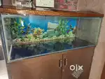 Fish Tank with accessories for sale