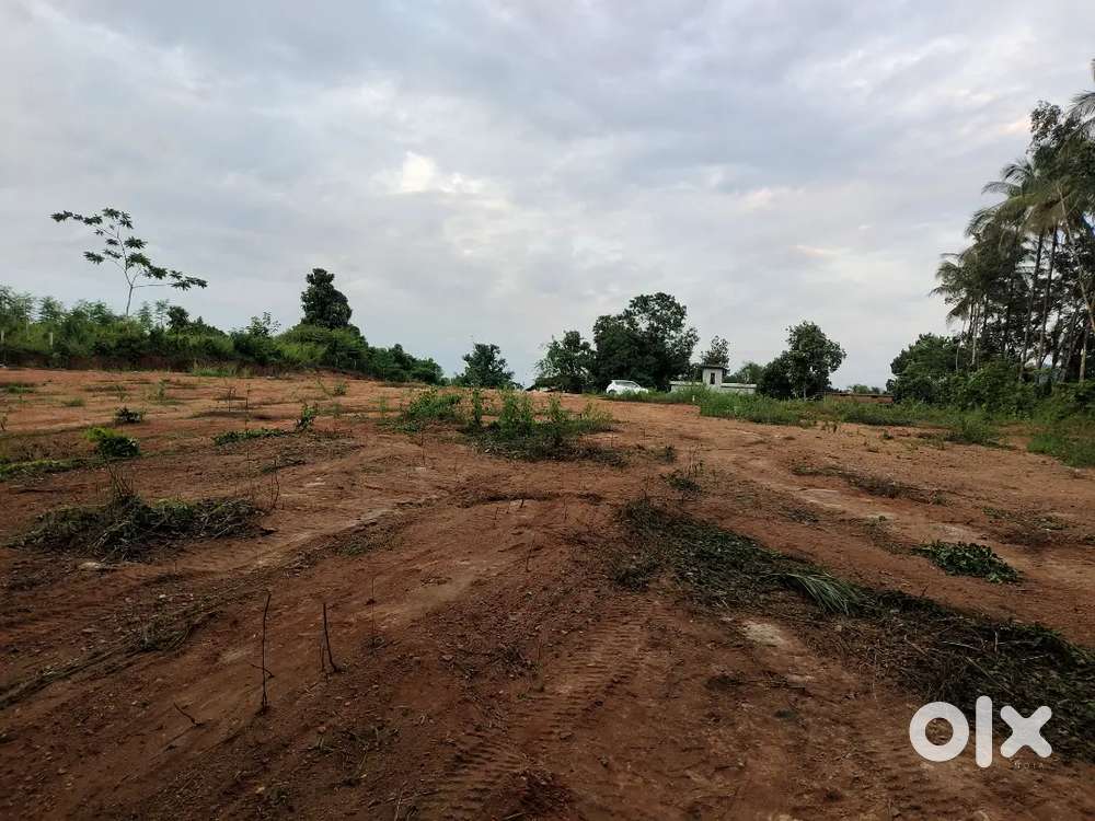 1 Acre 15 Cents Plot for Sale – Custom Plot Sizes Available