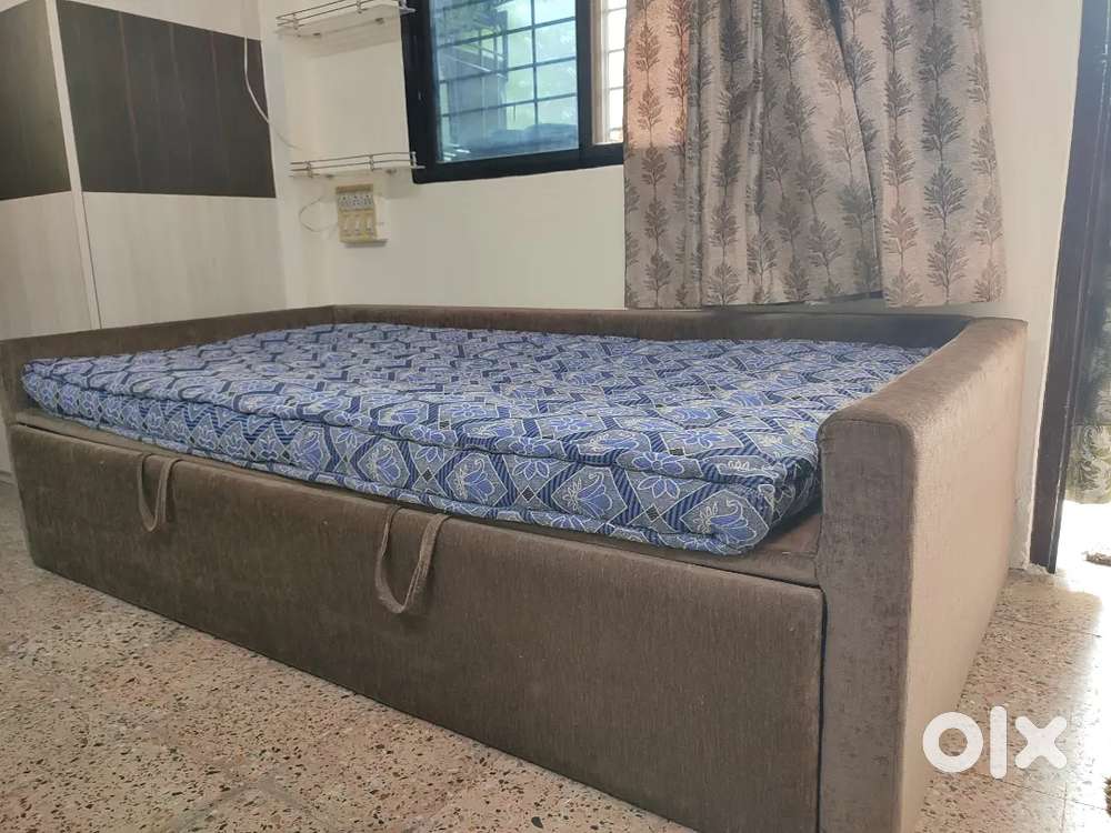 New Sofa cum Bed
