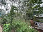 For sale rubber plot 25 cent