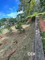 15.57 cent Land for sale