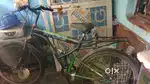 Gyre cycle