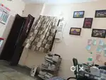 Need a roommate