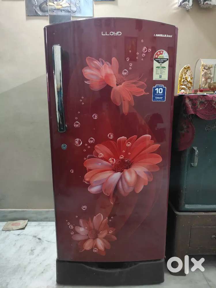 LLOYD Refrigerator