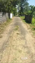 46 Cent Commercial Property for Rent/Lease in Eloor Ernakulam