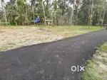 ചെട്ടികുളങ്ങര 10സെന്റ് വസ്തു വില്പനക്ക് ടാർ റോഡ് സൈഡ്