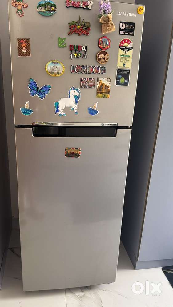 Samsung 253 liter double door