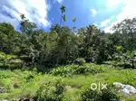 2.7 acres near Aluva-Munnar highway