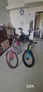 2 cycles. One Boy cycle 2nd is Girl cycle
