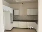 Independent 12.5 marla kothi sector 46 Chandigarh
