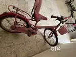 BSA Bicycle for Girls Age 5-10 years