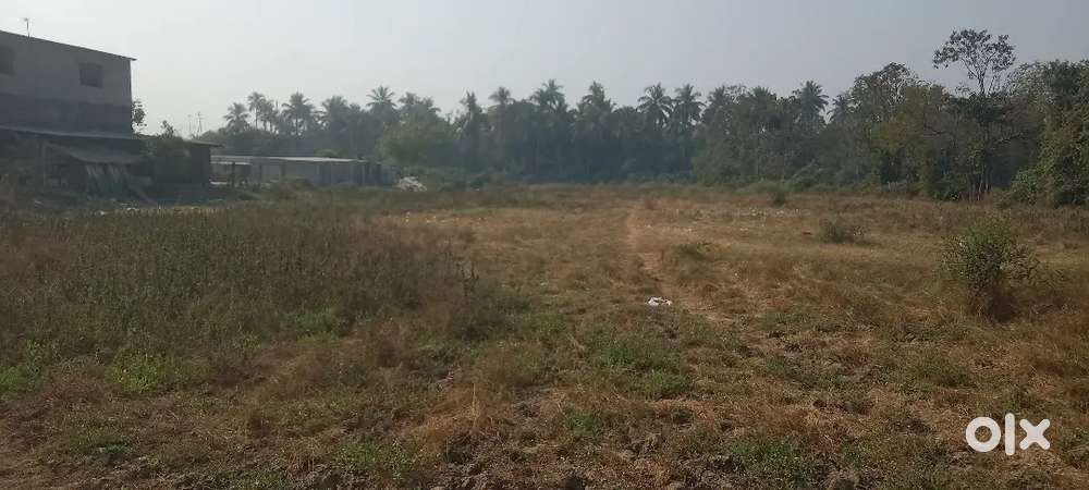 NH 48 front 16 vigha property sale mention 1 vigha rate