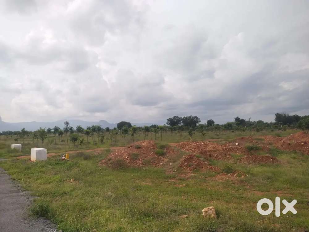 YOUR DREAM FARM HOUSE IN VENKATAGIRI