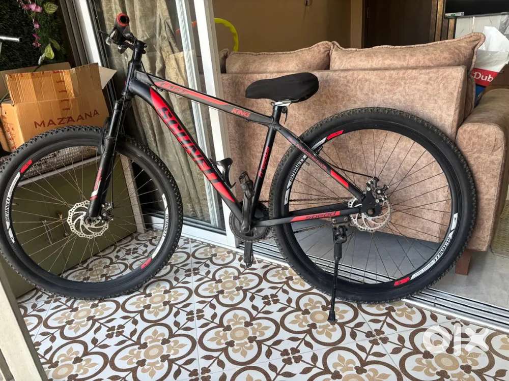 Bicycle Schnell Brand