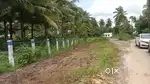 3 Acer coconut farm per Acer 60 lacks palakkad kozhinjampara