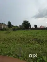 Urgent sell plot Nagar Nigam Bhopal ward no 26 Neelbad