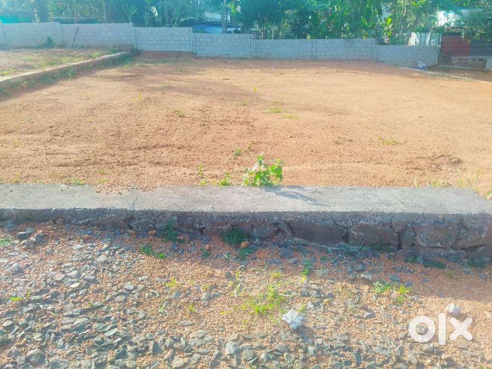 Residential plots available for sale in Memugham,Arakkunnam,Piravom