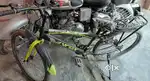 Best cycle of 6 month old