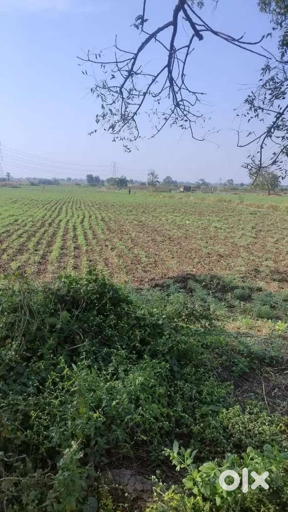 Farm land for sale irrigated land.