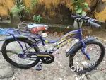 My new cycle 2 month old