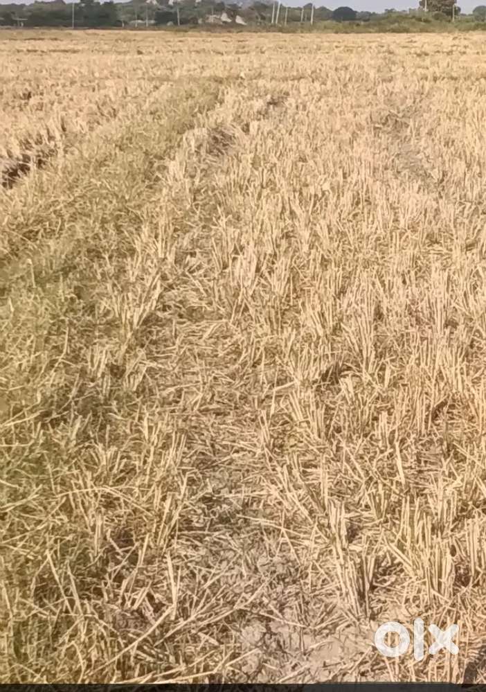 NH44 highway to  3rd bit near komireddypally elegant farm land