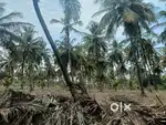 Aggriculture land for sale general property 23gunta per gunta 105000/-