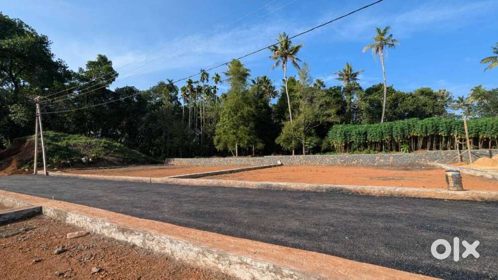 Koratty town side 5 to 10 cent villa plots park open gym well water