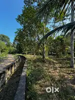 Land for sale (Mannappally)