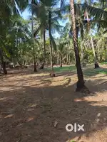 Edakazhiyur Land for sale
