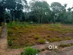 67 cent lant rent 130000 near kalamassery Kakkanad