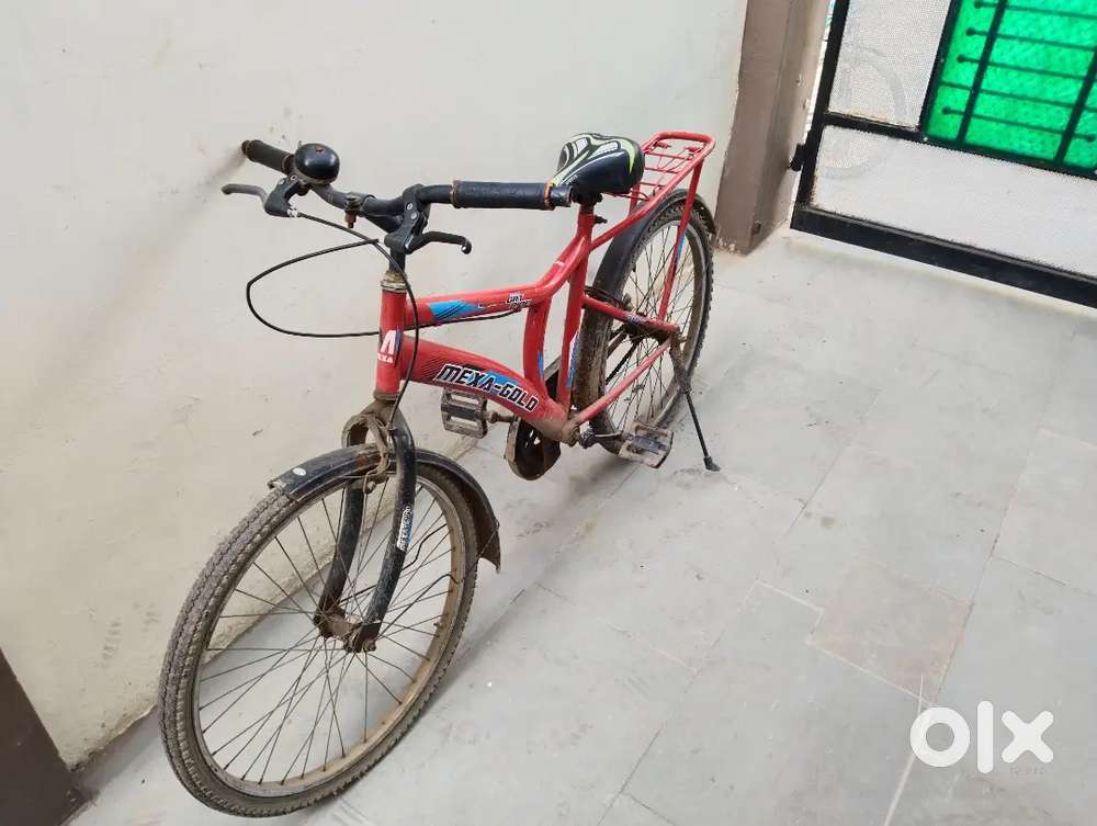 Cycle 24 size