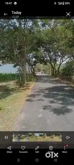 Plot sale near balipadar baiganabadi