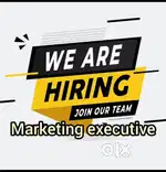 Wanted Marketing Executive For Interior  Products