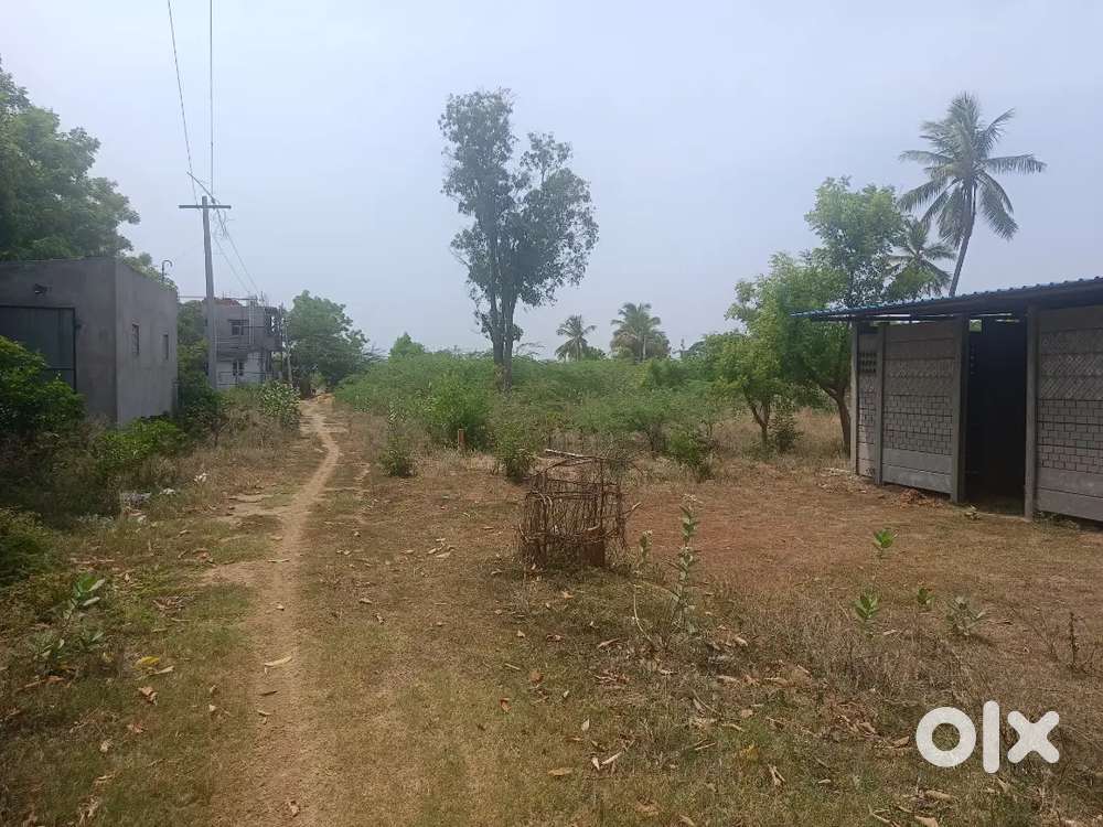 Kulumani main road near plot for sale per sqr ft rs.1250