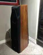Grant Fidelity Floor standing speaker