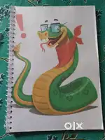 Python book