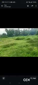 Agriculture land for sale
