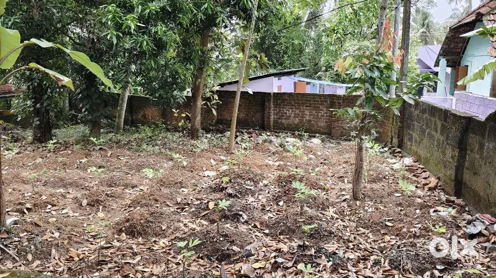 Plot for sale 4.45 cent