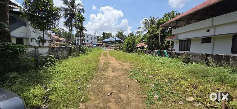 MC road Kallissery road frontage 50 mtr distance.