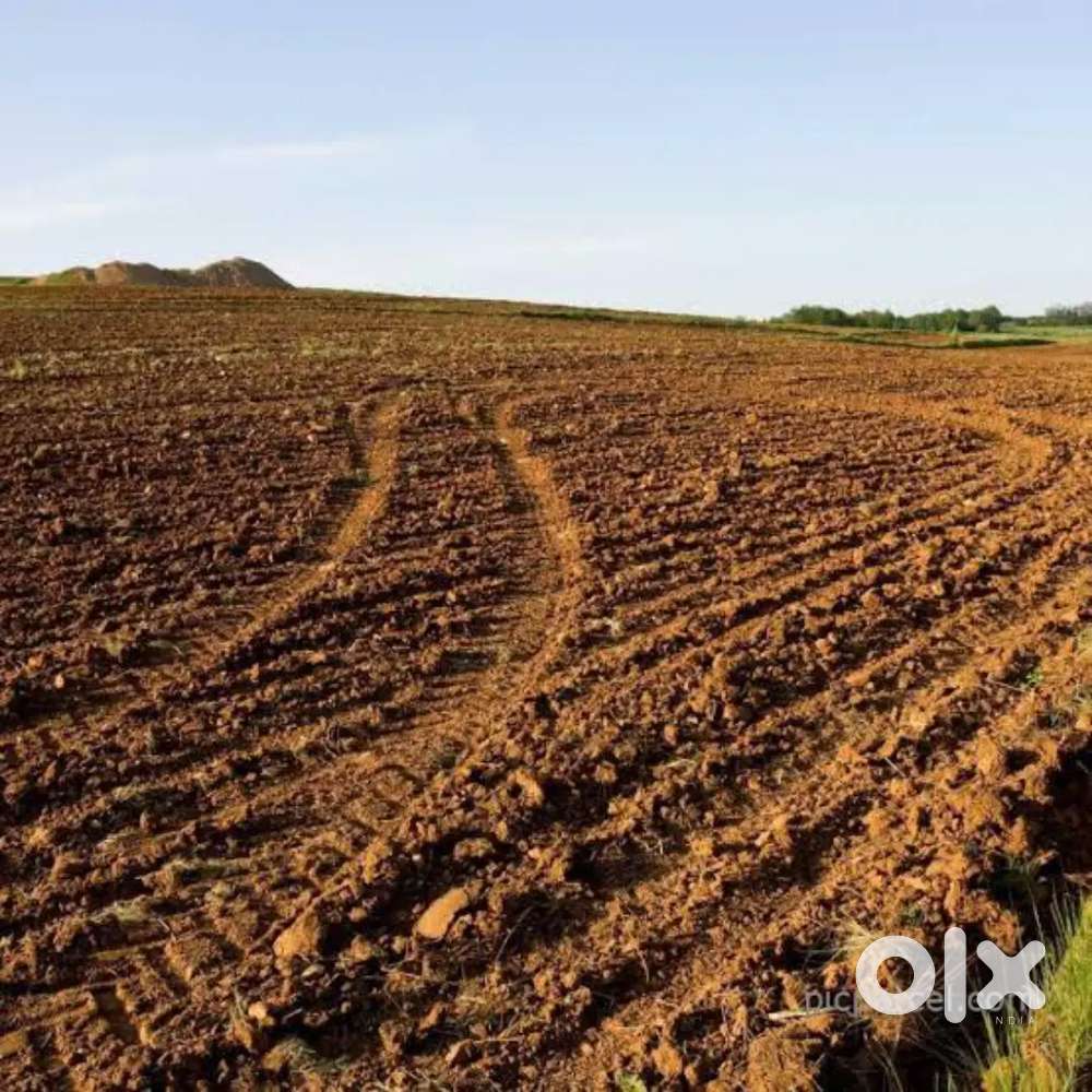 PETHA NAYAGI AMMAN ROAD