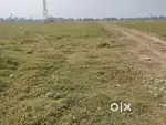 This Plot Total 15 bigha , Rs-3 Lacs Per Katha, You Interested Call Me