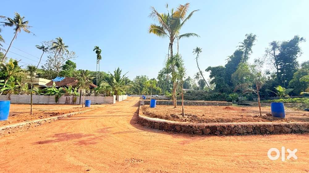 Premium Well-Developed 10-20 cents Plot with Top-Tier Facilities