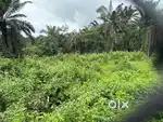 NA plot fr sale in valpoi