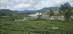 Your Next Farm House Facing Dam
