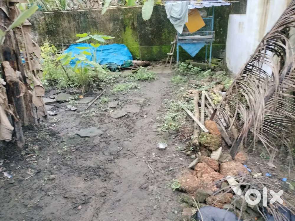 3.730 cent @Ayyampilly west .Tipper access way .Cent ന് 275000 .