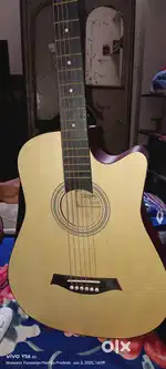 Dolphin guitar models DT-1C NA